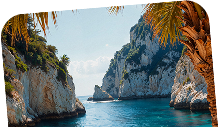 banner-img